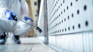Pourquoi faire appel à un professionnel de la désinsectisation à Casablanca ?